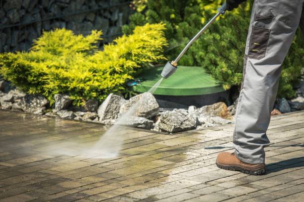 Best Boat and Dock Cleaning  in Harbour Heights, FL