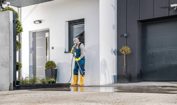 Best Fence Cleaning  in Harbour Heights, FL